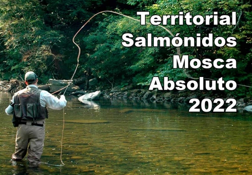 TERRITORIAL SALMÓNIDOS MOSCA ABSOLUTO
