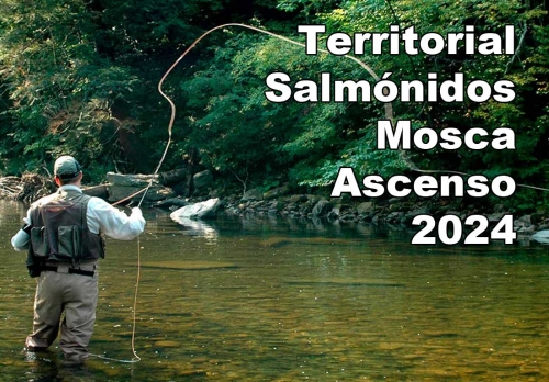 TERRITORIAL SALMÓNIDOS MOSCA ASCENSO PRIMERA 2024